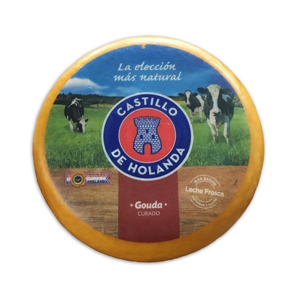 GOUDA CURADO
